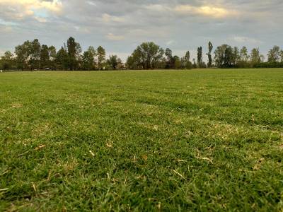 BSFC training center