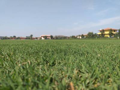 BSFC training center