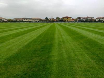 BSFC training center