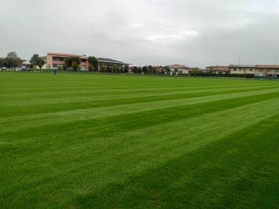 BSFC training center