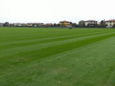 BSFC training center