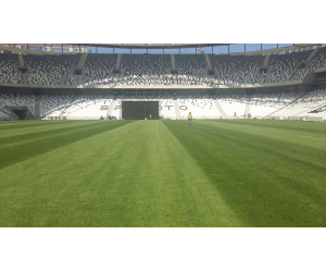 erba a rotoli coltivata da paradello per campo besiktas