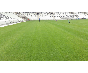 tappeto erboso per stadio Besiktas